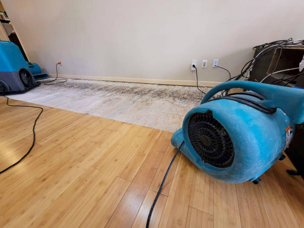 Professional Water Damage Repair technician working in Waverly, IA